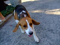 DSCF3399