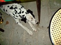 DSCF3966