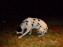 DSCF3974