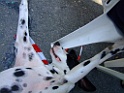DSCF4037