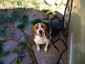 DSCF4131