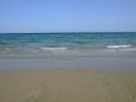 DSCF4497