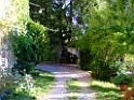 DSCF4965
