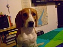 DSCF5105