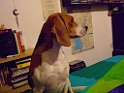 DSCF5106