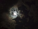 DSCF5112