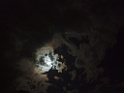 DSCF5113