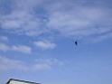 DSCF5759
