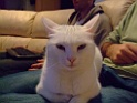 DSCF5767
