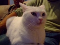 DSCF5768