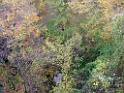 DSCF5887