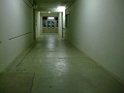 DSCF5890