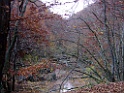 DSCF5891