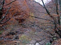 DSCF5892