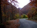 DSCF5893