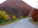 DSCF5894