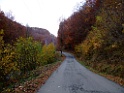 DSCF5895