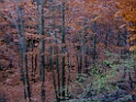 DSCF5897