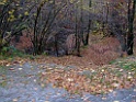 DSCF5898