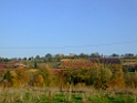 DSCF5938