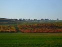 DSCF5940