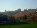 DSCF5941