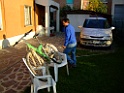 DSCF5951