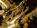DSCF5965