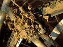 DSCF5966