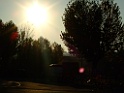 DSCF5969