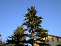 DSCF5992