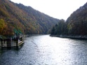 DSCF6003