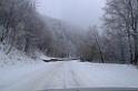 DSCF2195