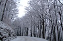 DSCF2197