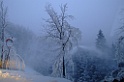DSCF2209