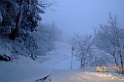 DSCF2211