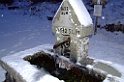 DSCF2217