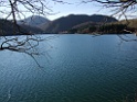 DSCF6579