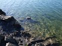 DSCF6583