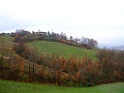 DSCF6603