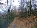 DSCF6630