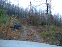 DSCF6635