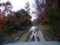 DSCF6676