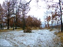 DSCF6726