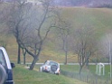 DSCF6754