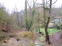 DSCF6779