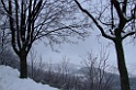 DSCF2459