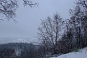 DSCF2460