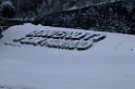 DSCF2463