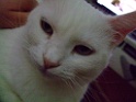 DSCF7207